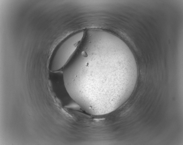 X0000061120721200512022151