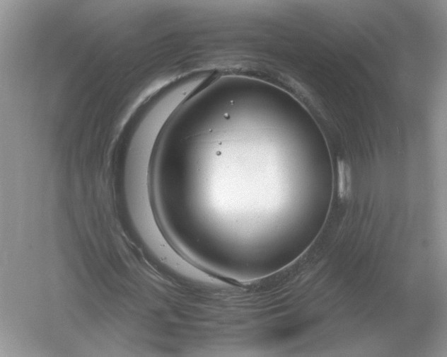 X0000061120723200512022151