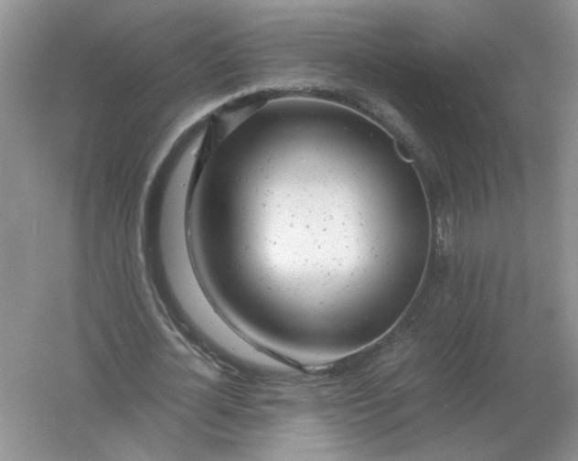 X0000061120724200512022151