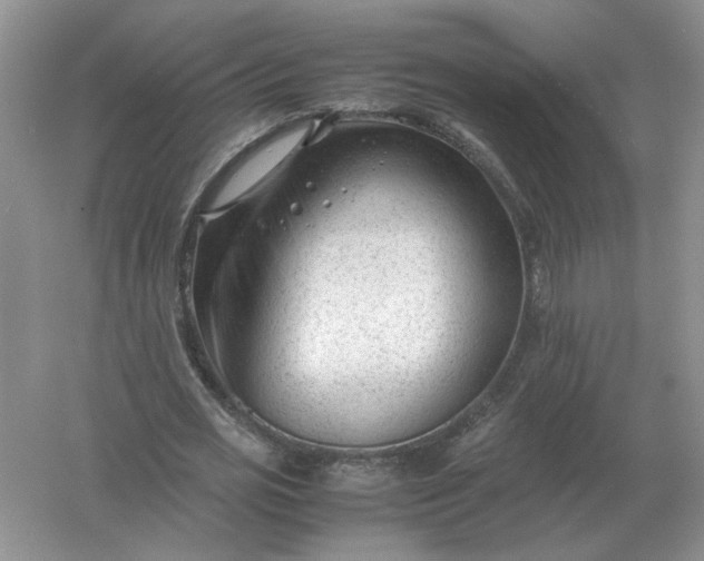 X0000061120725200512022151