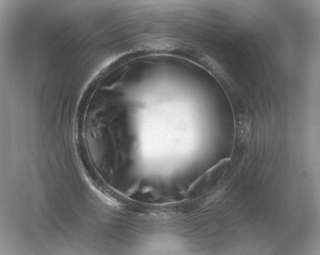 X0000061120726200512022151