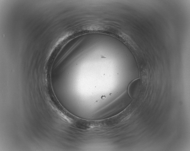 X0000061120727200512022151