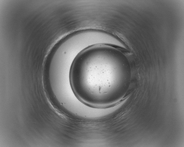 X0000061120728200512022151