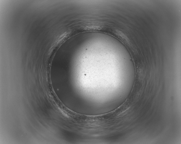 X0000061120729200512022151