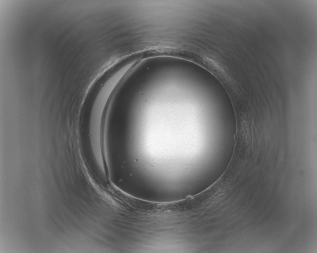 X0000061120730200512022151