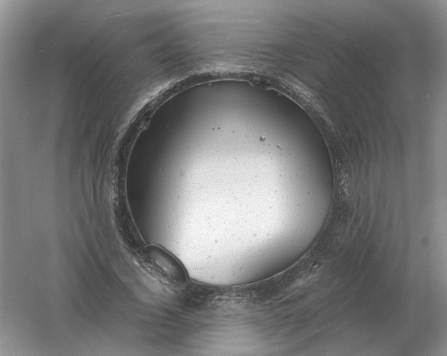 X0000061120732200512022151