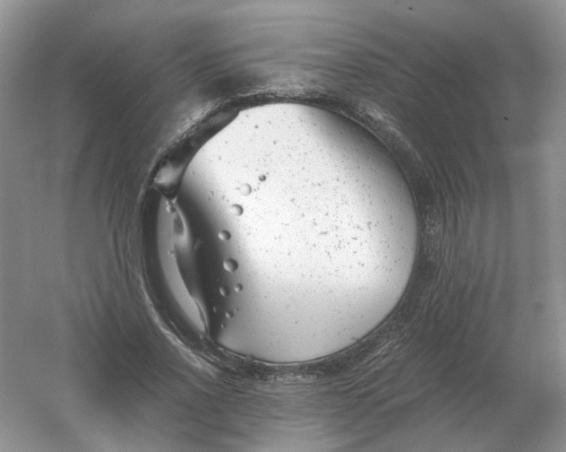 X0000061120734200512022152