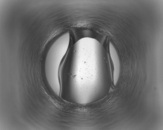 X0000061120735200512022152