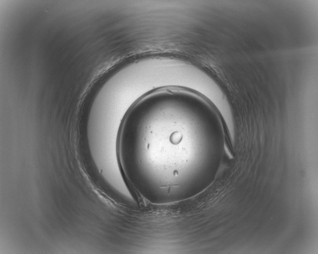 X0000061120736200512022152