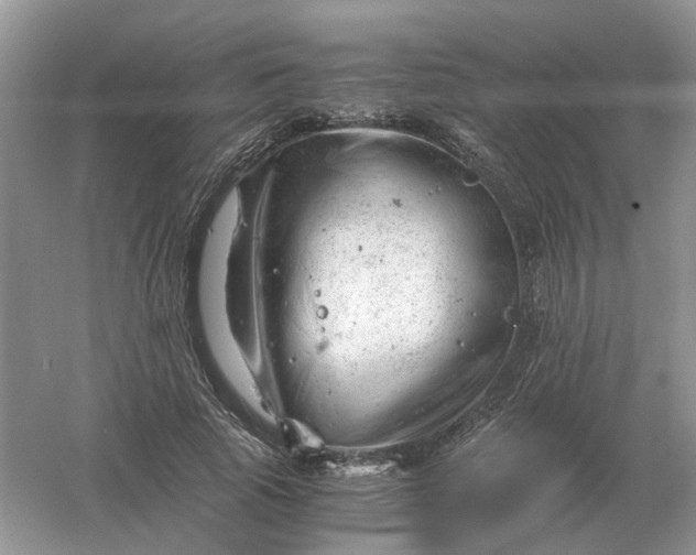 X0000061120737200512022152