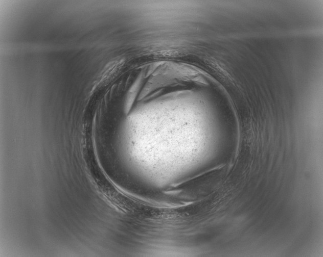 X0000061120738200512022152