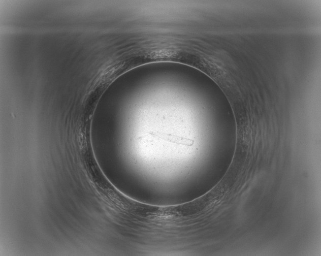 X0000061120743200512022152