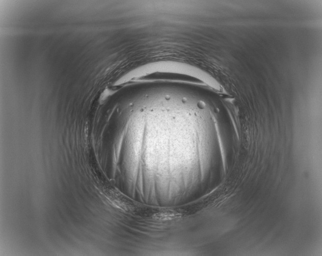 X0000061120745200512022152