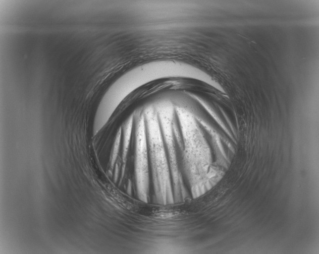 X0000061120746200512022152