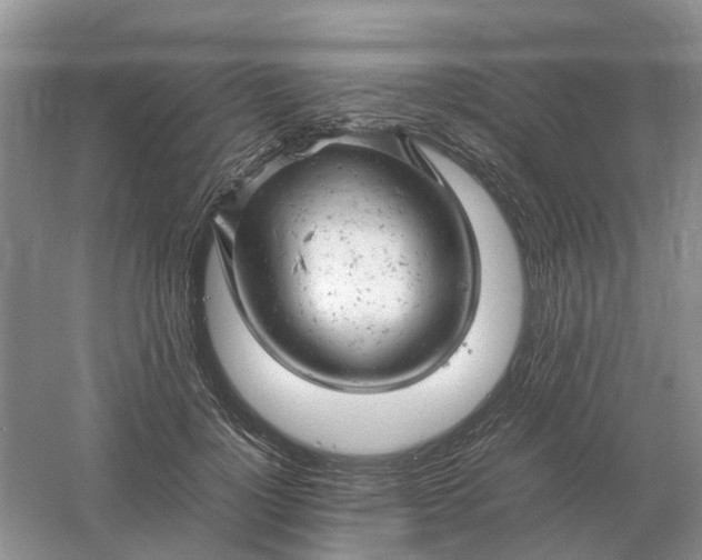 X0000061120748200512022152