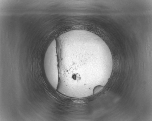 X0000061120749200512022152