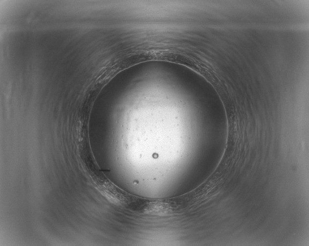 X0000061120750200512022152