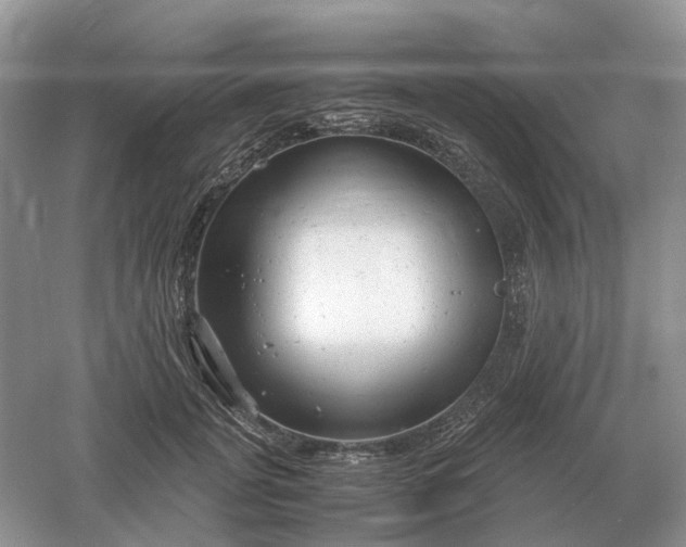 X0000061120751200512022152