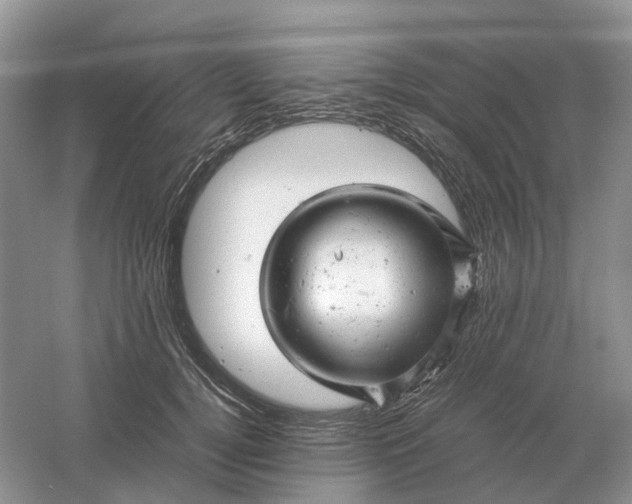 X0000061120752200512022152