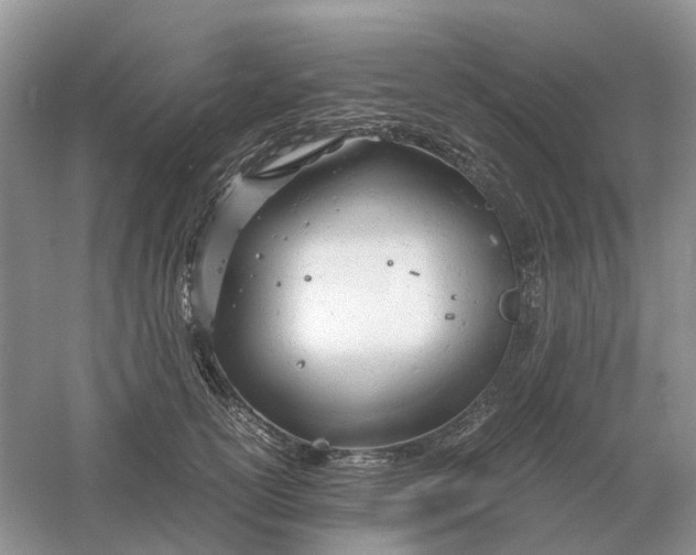 X0000061120754200512022152