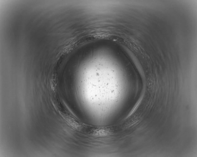 X0000061120755200512022152