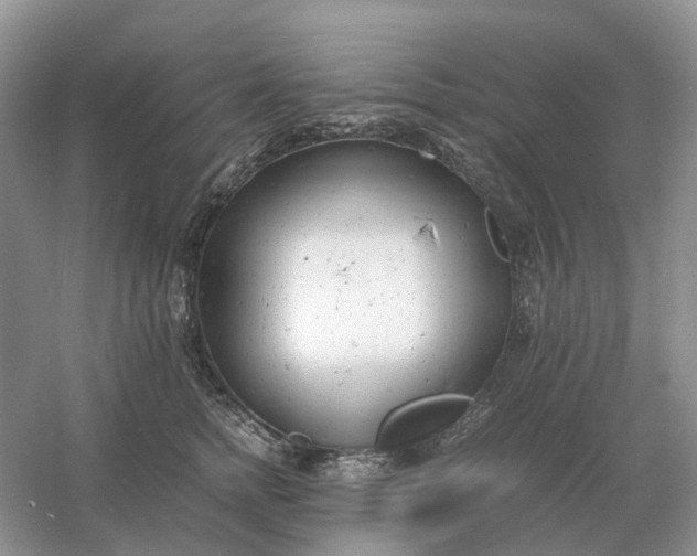 X0000061120758200512022152