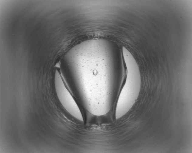 X0000061120760200512022152