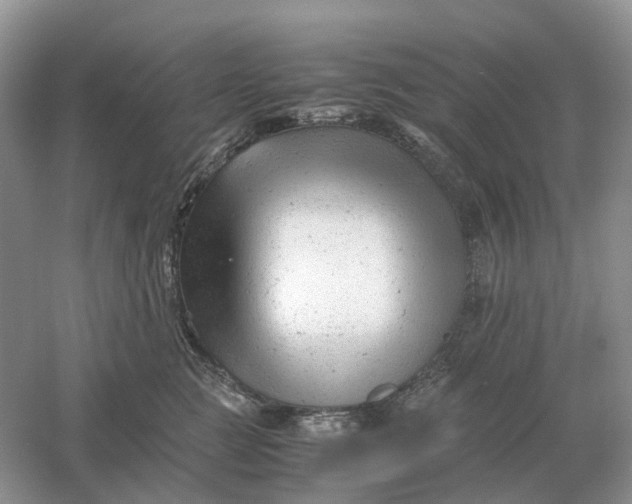 X0000061120761200512022152