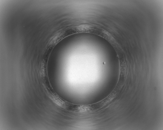 X0000061120762200512022152