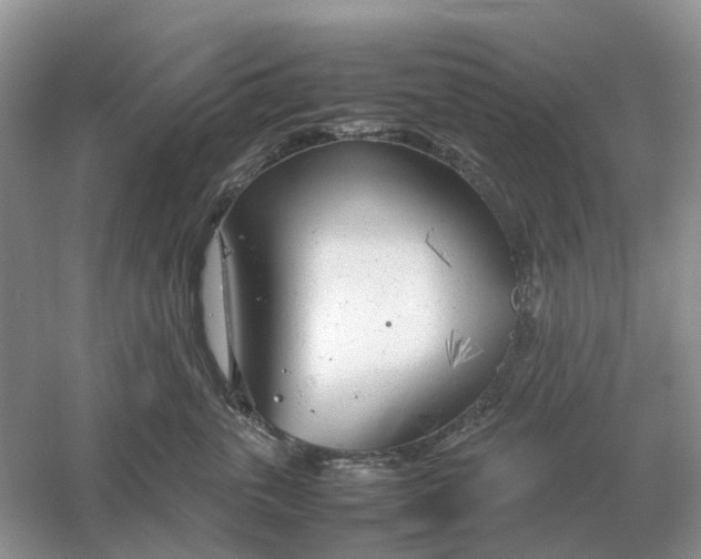 X0000061120763200512022152