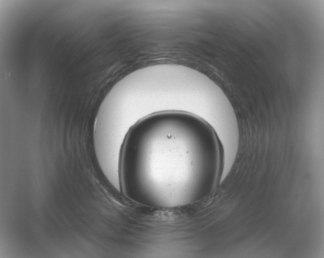 X0000061120764200512022152