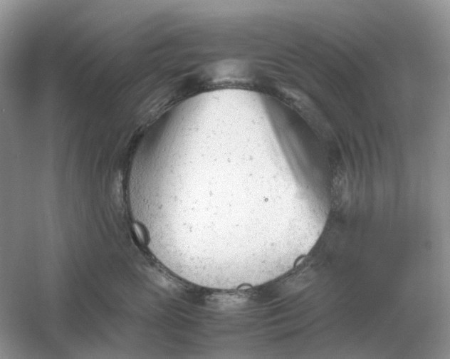 X0000061120765200512022152