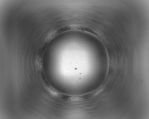 X0000061120766200512022152