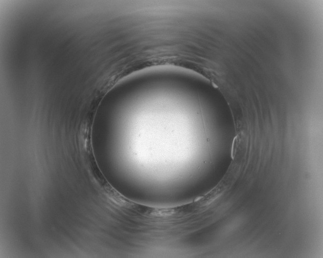 X0000061120767200512022152