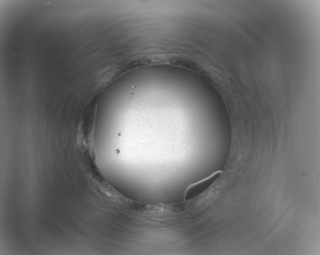 X0000061120768200512022152