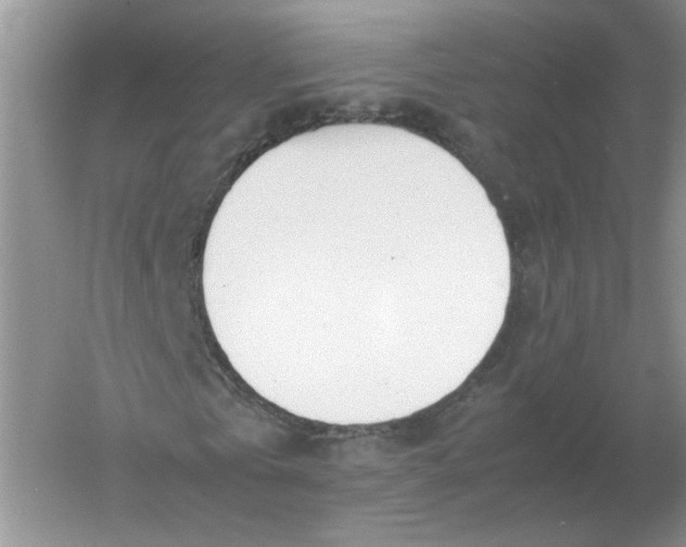 X0000061120769200512022151