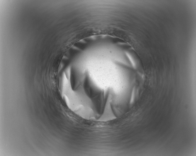 X0000061120770200512022151