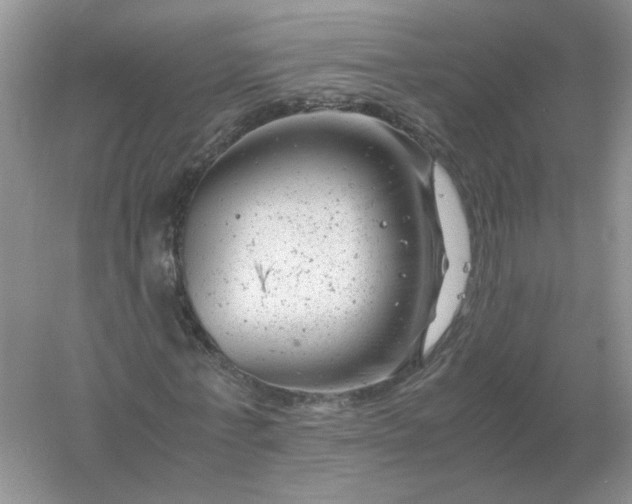 X0000061120771200512022151