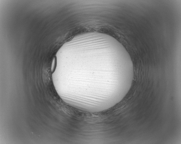 X0000061120772200512022151