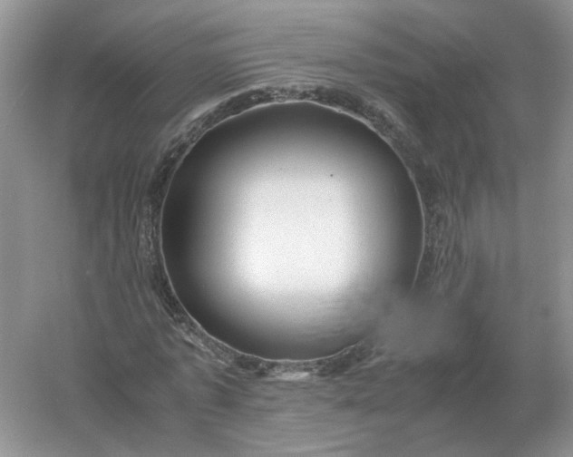 X0000061120773200512022151