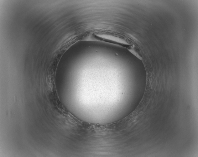 X0000061120774200512022151