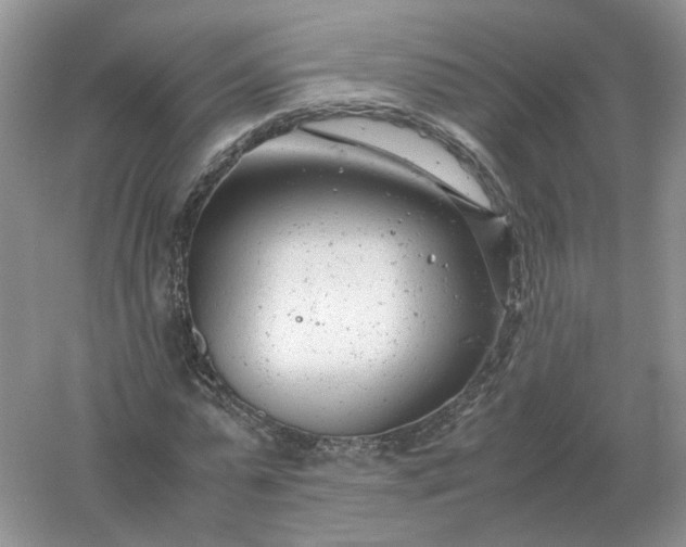 X0000061120775200512022151