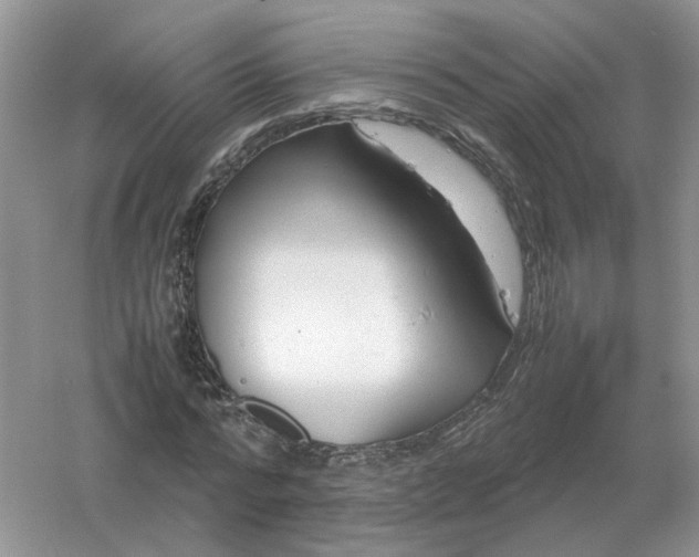 X0000061120776200512022151