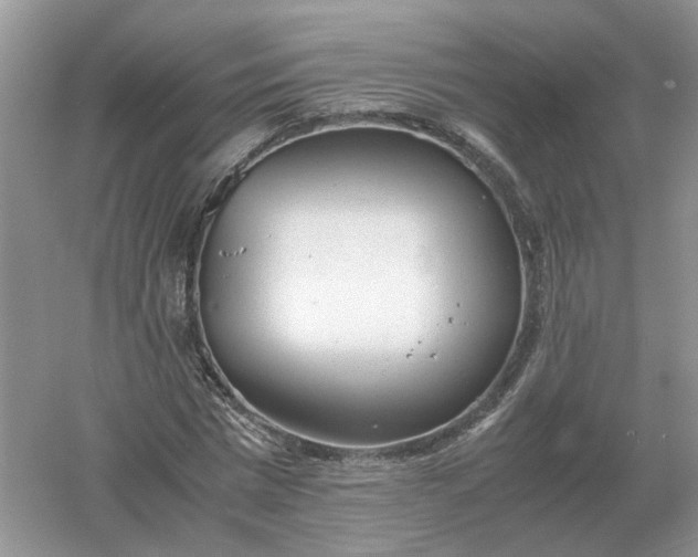 X0000061120777200512022151