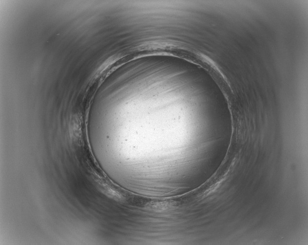 X0000061120778200512022151