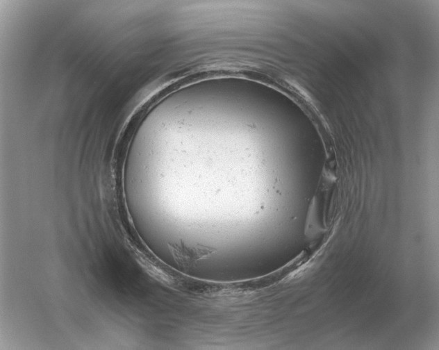 X0000061120779200512022151