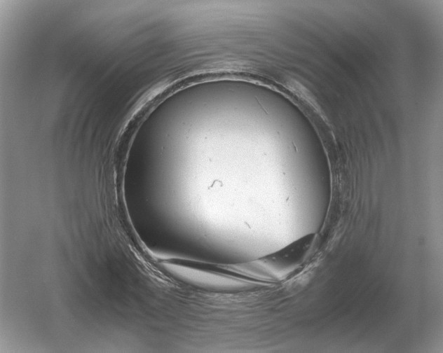 X0000061120781200512022151