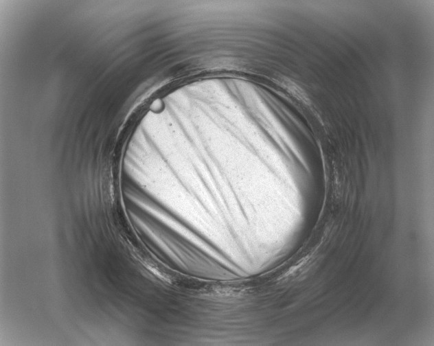 X0000061120782200512022151