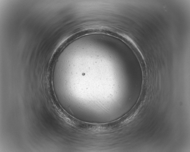 X0000061120783200512022151