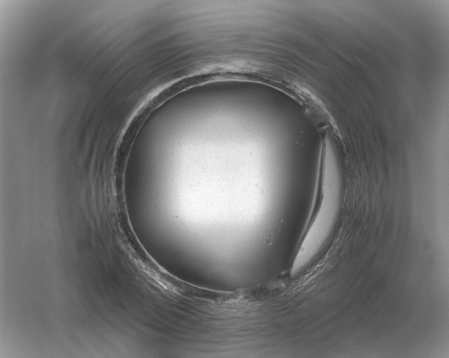 X0000061120784200512022151